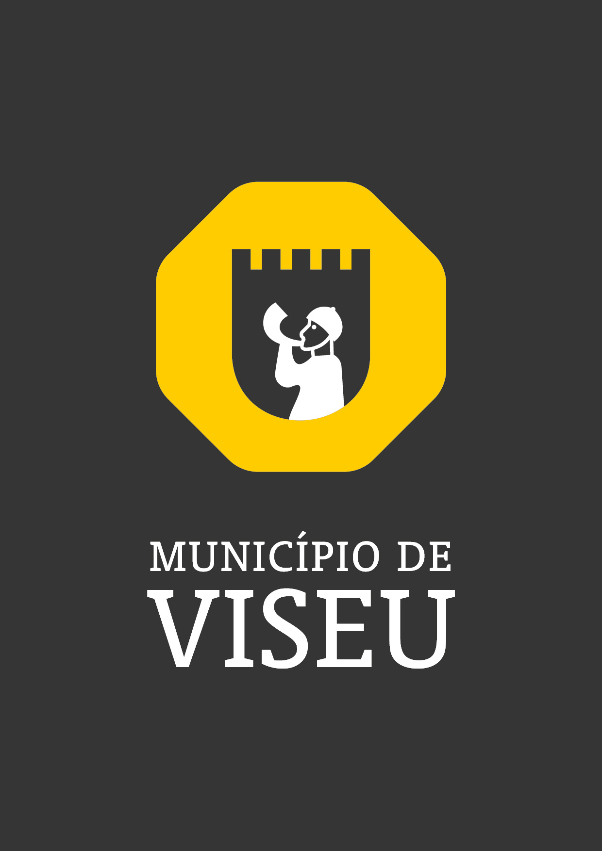 Município de Viseu