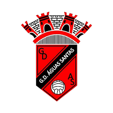 Grupo Desportivo Aguas Santas