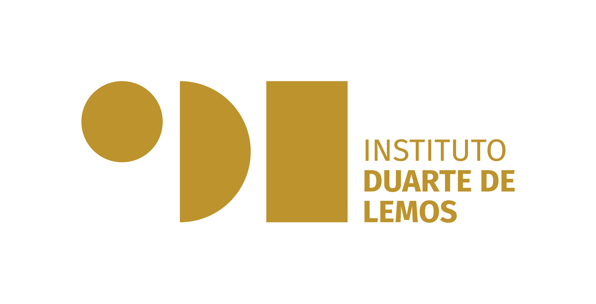 Instituto Duarte de Lemos