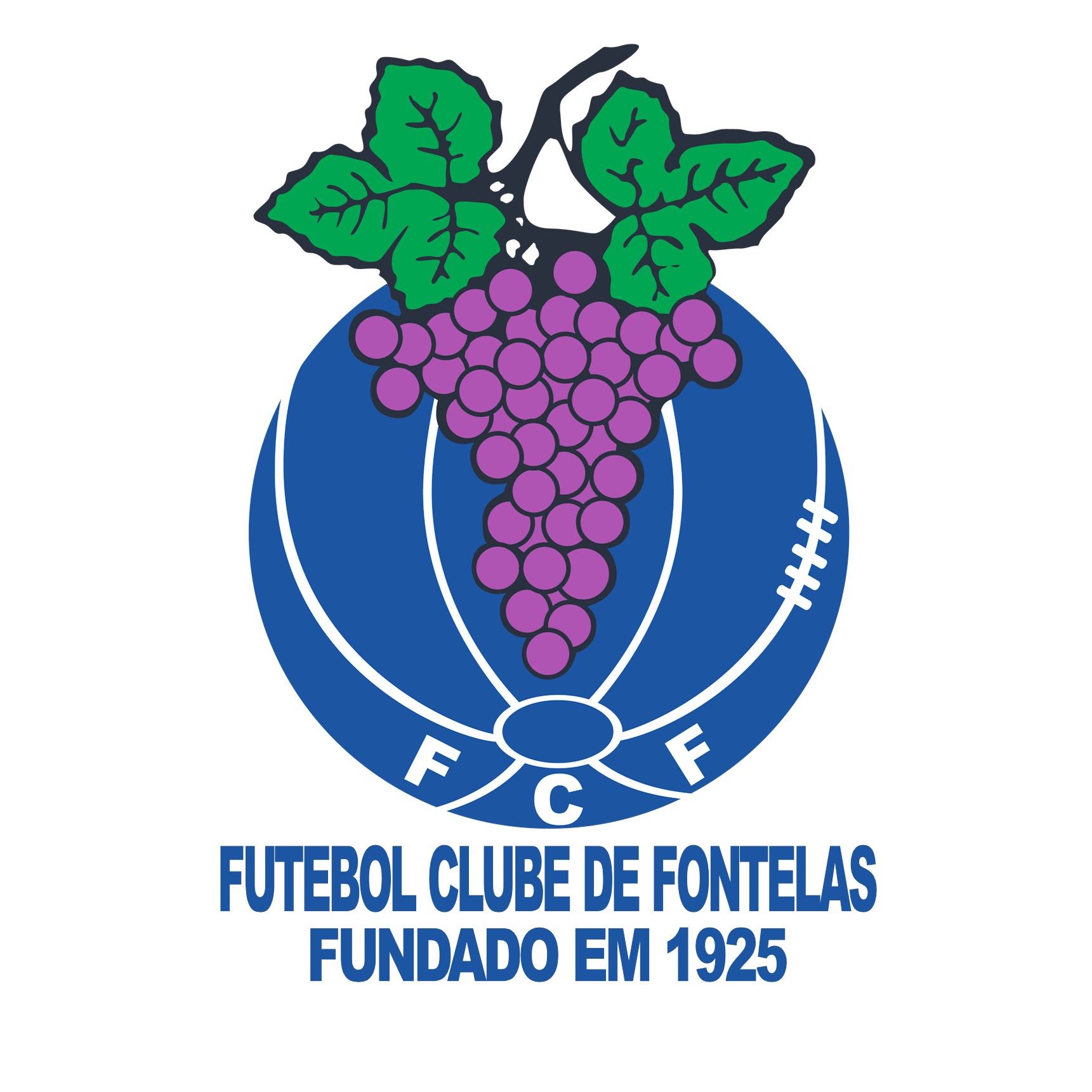 Futebol Clube de Fontelas
