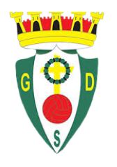 Grupo desportivo de Serzedelo