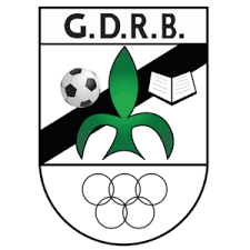 Grupo Desportivo Recreativo Bidoeirense